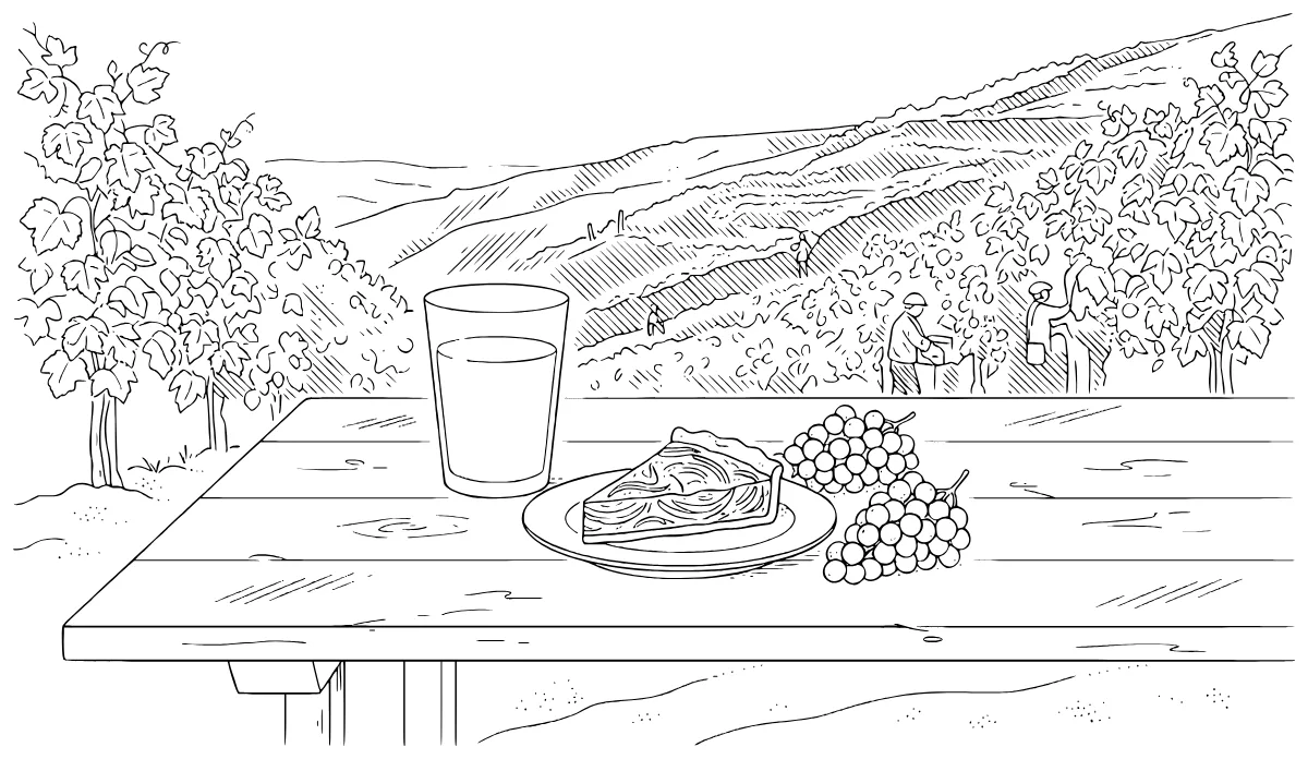 Illustration zum Text: Federweißer: der Wein, der noch lebt